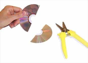 scacciare i piccioni con i cd