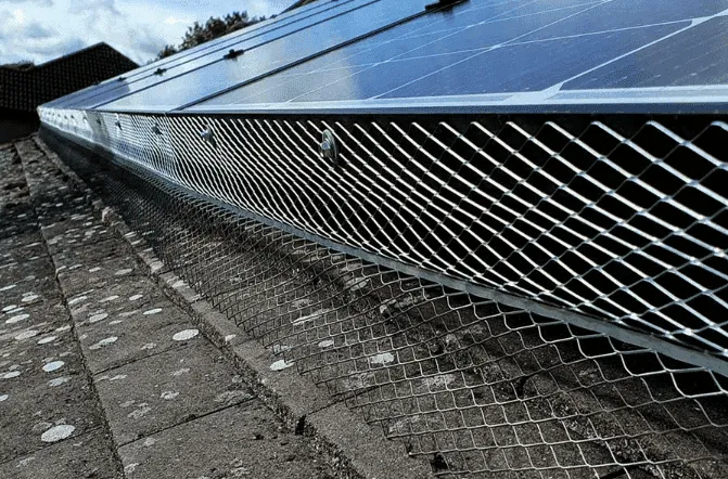 Barriere Anti Piccioni Fotovoltaico