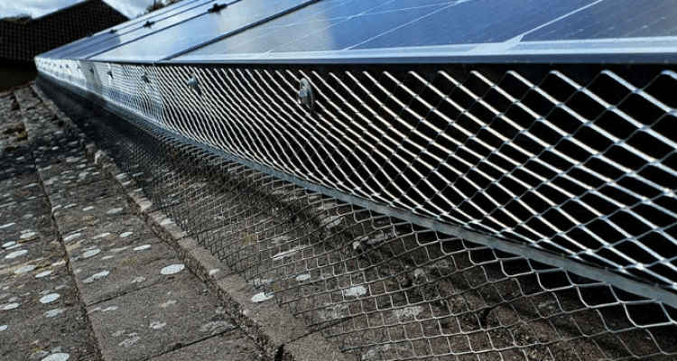 Barriere Anti Piccioni Fotovoltaico