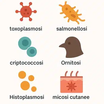 infografica malattie trasmesse dai piccioni