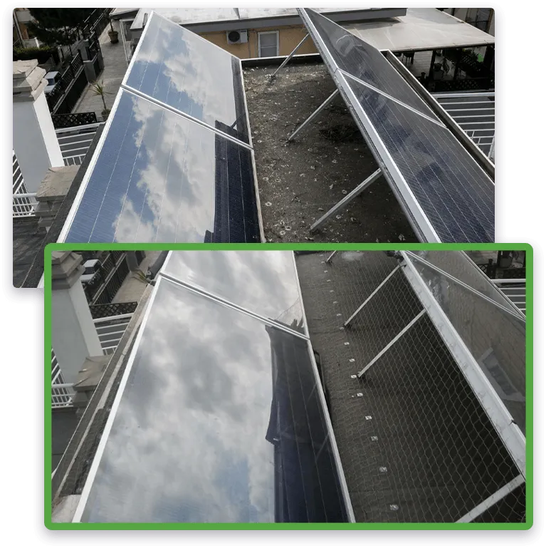 immagine prima e dopo installazione rete per allontanamento volatili