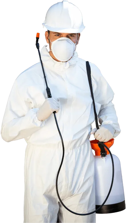 tecnico dei volatili infestanti